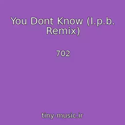 کاور آهنگ You Dont Know (I.p.b. Remix) از 702