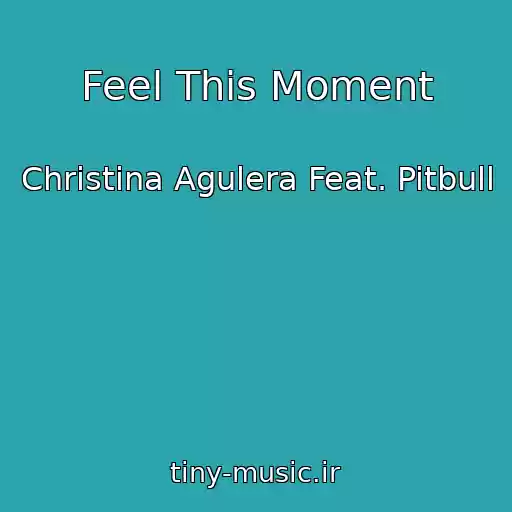کاور آهنگ Feel This Moment از Christina Agulera Feat. Pitbull