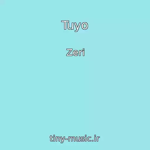 کاور آهنگ Tuyo از Zeri