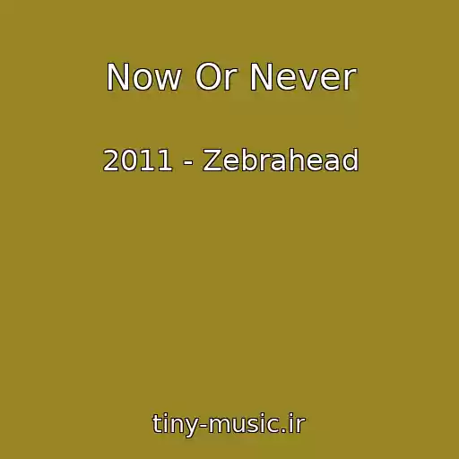 کاور آهنگ Now Or Never از 2011 - Zebrahead