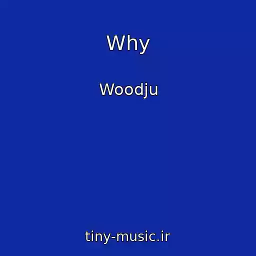 کاور آهنگ Why از Woodju