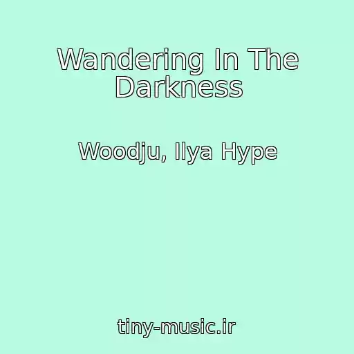 کاور آهنگ Wandering In The Darkness از Woodju, Ilya Hype