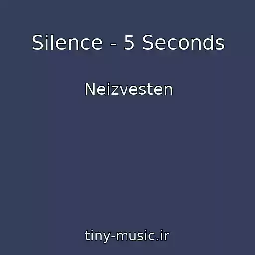 کاور آهنگ Silence - 5 Seconds از Neizvesten