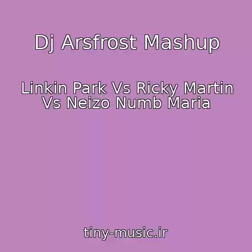 کاور آهنگ Dj Arsfrost Mashup از Linkin Park Vs Ricky Martin Vs Neizo Numb Maria