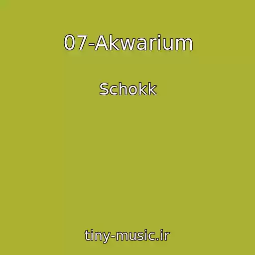کاور آهنگ 07-Akwarium از Schokk