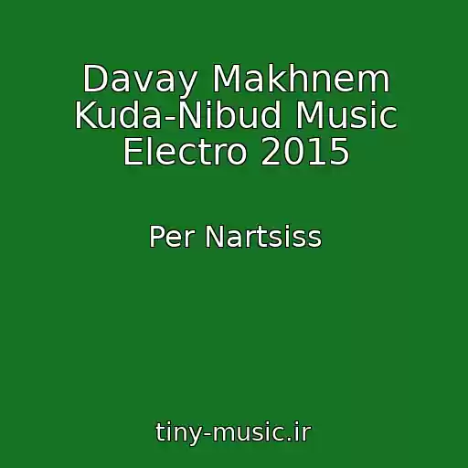 کاور آهنگ Davay Makhnem Kuda-Nibud Music Electro 2015 از Per Nartsiss