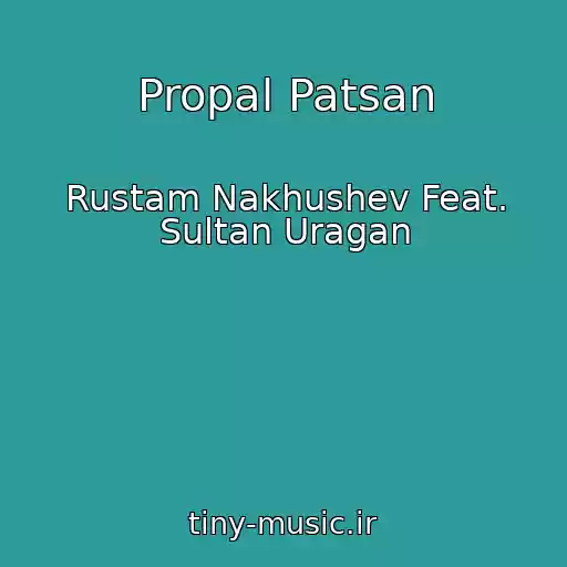 کاور آهنگ Propal Patsan از Rustam Nakhushev Feat. Sultan Uragan