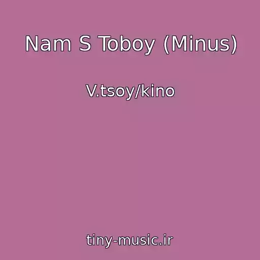 کاور آهنگ Nam S Toboy (Minus) از V.tsoy/kino