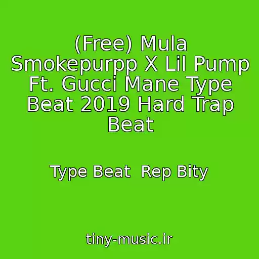 کاور آهنگ (Free) Mula Smokepurpp X Lil Pump Ft. Gucci Mane Type Beat 2019 Hard Trap Beat از Type Beat  Rep Bity
