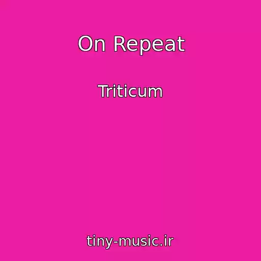 کاور آهنگ On Repeat از Triticum