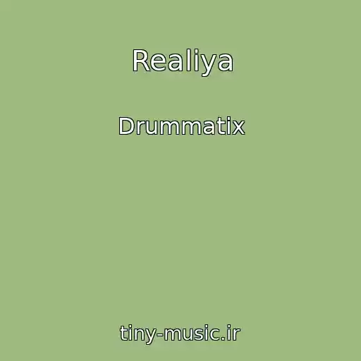 کاور آهنگ Realiya از Drummatix
