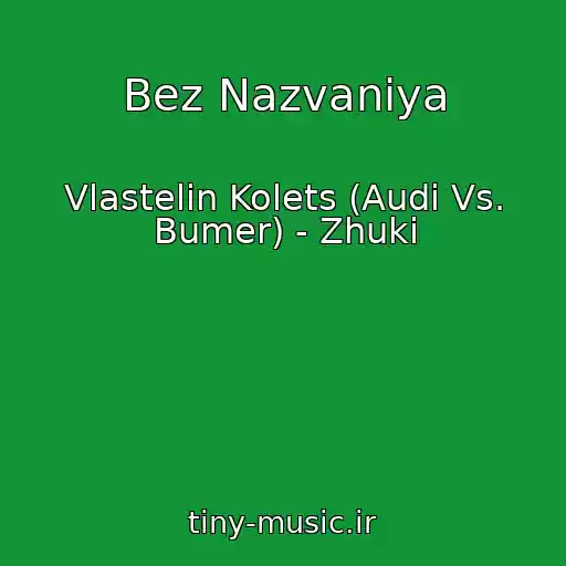 کاور آهنگ Bez Nazvaniya از Vlastelin Kolets (Audi Vs. Bumer) - Zhuki