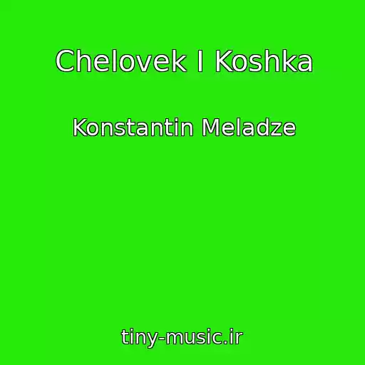 کاور آهنگ Chelovek I Koshka از Konstantin Meladze