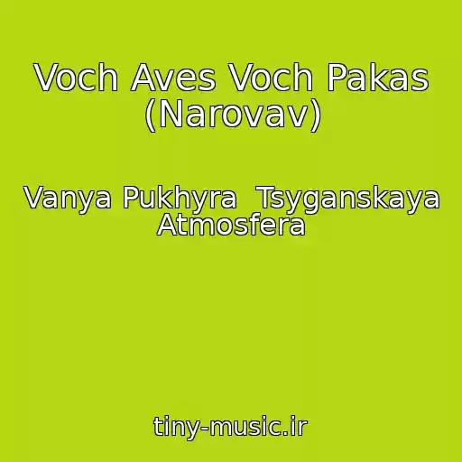 کاور آهنگ Voch Aves Voch Pakas (Narovav) از Vanya Pukhyra  Tsyganskaya  Atmosfera