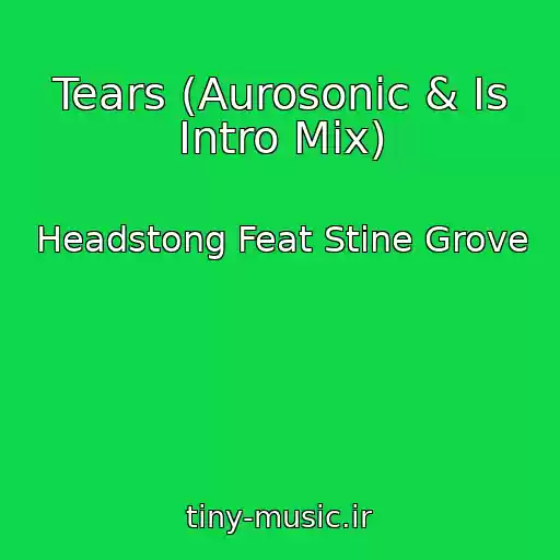 کاور آهنگ Tears (Aurosonic & Is Intro Mix) از Headstong Feat Stine Grove