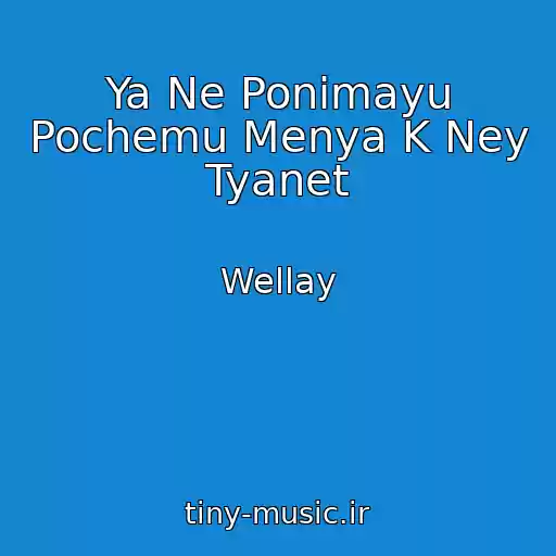 کاور آهنگ Ya Ne Ponimayu Pochemu Menya K Ney Tyanet از Wellay