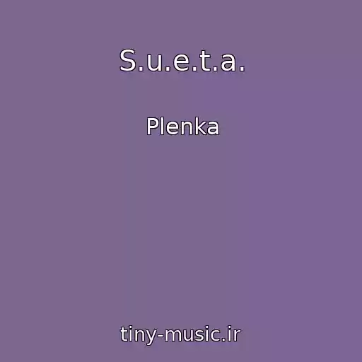 کاور آهنگ S.u.e.t.a. از Plenka