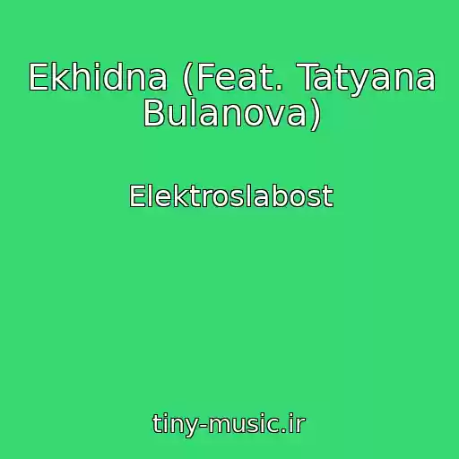 کاور آهنگ Ekhidna (Feat. Tatyana Bulanova) از Elektroslabost