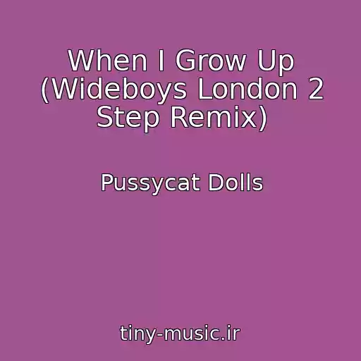 کاور آهنگ When I Grow Up (Wideboys London 2 Step Remix) از Pussycat Dolls
