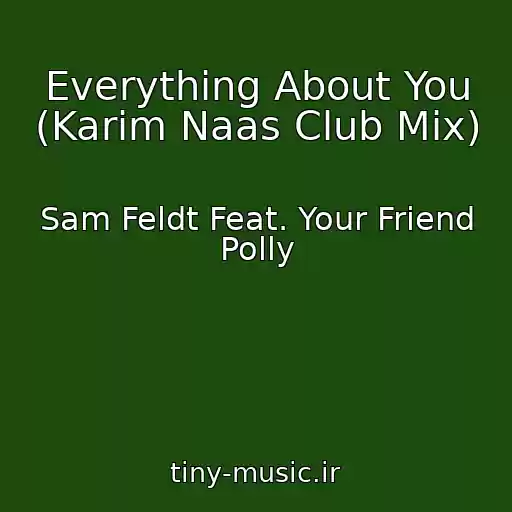 کاور آهنگ Everything About You (Karim Naas Club Mix) از Sam Feldt Feat. Your Friend Polly