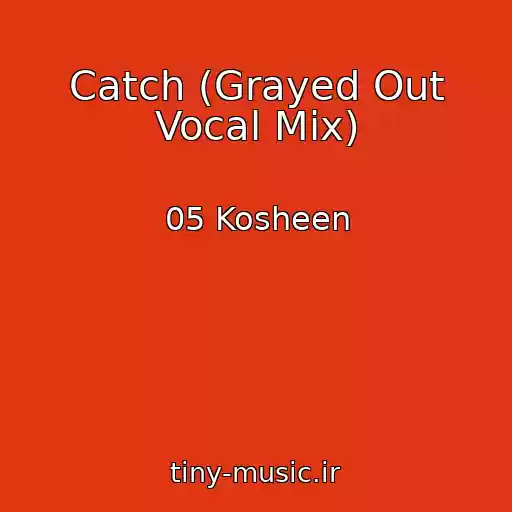 کاور آهنگ Catch (Grayed Out Vocal Mix) از 05 Kosheen