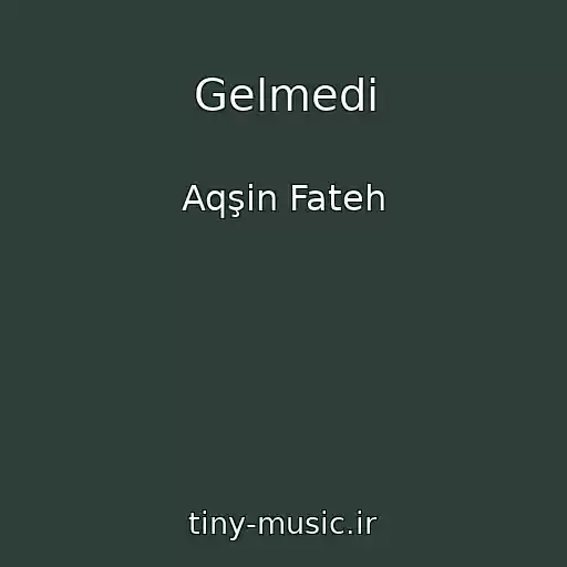 کاور آهنگ Gelmedi از Aqşin Fateh
