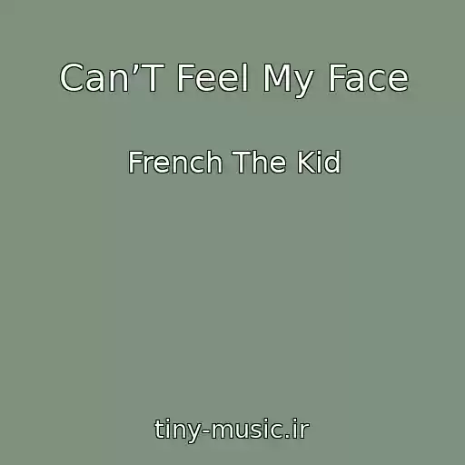 کاور آهنگ Can’T Feel My Face از French The Kid