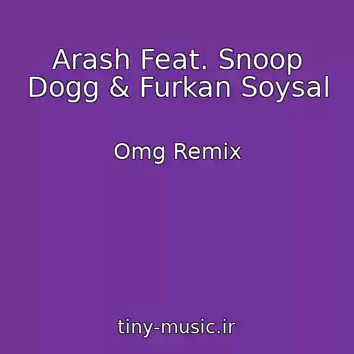 کاور آهنگ Arash Feat. Snoop Dogg & Furkan Soysal از Omg Remix