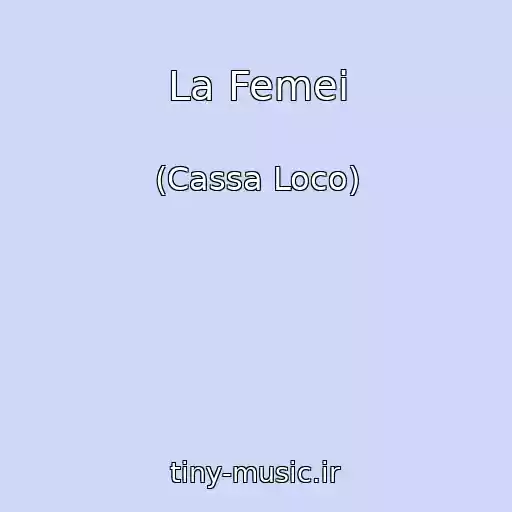 کاور آهنگ La Femei از (Cassa Loco)
