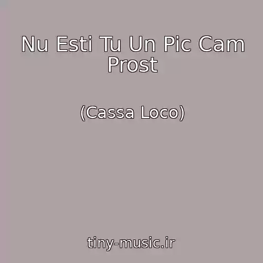 کاور آهنگ Nu Esti Tu Un Pic Cam Prost از (Cassa Loco)