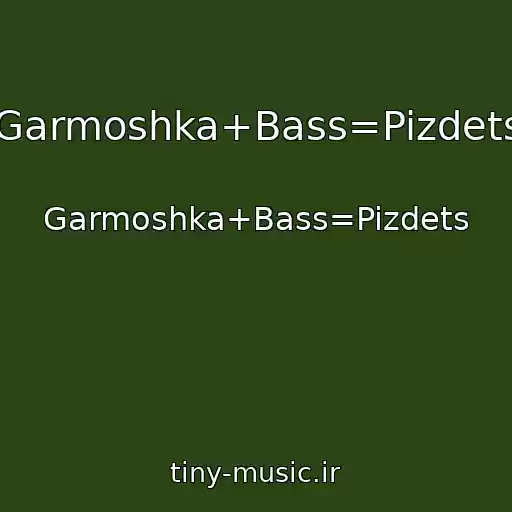 کاور آهنگ Garmoshka+Bass=Pizdets از Garmoshka+Bass=Pizdets