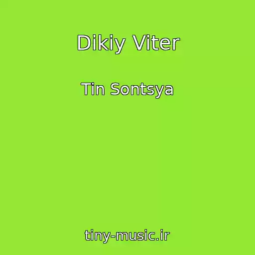 کاور آهنگ Dikiy Viter از Tin Sontsya