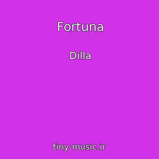کاور آهنگ Fortuna از Dilla