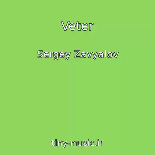 کاور آهنگ Veter از Sergey Zavyalov