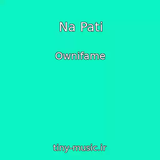 کاور آهنگ Na Pati از Ownifame