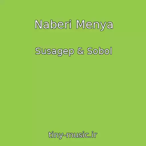 کاور آهنگ Naberi Menya از Susagep & Sobol