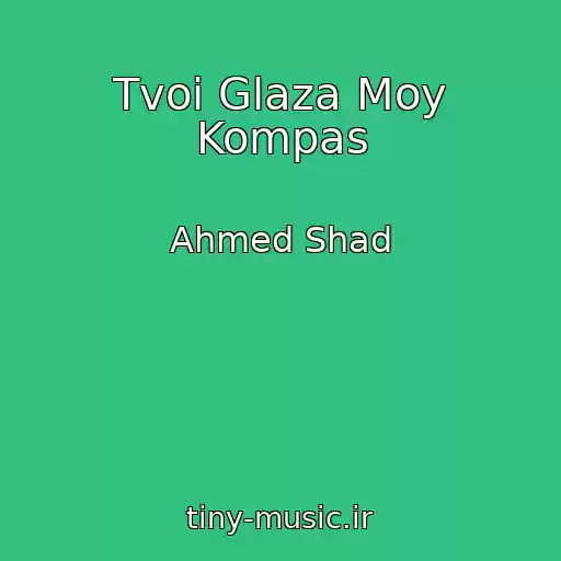 کاور آهنگ Tvoi Glaza Moy Kompas از Ahmed Shad