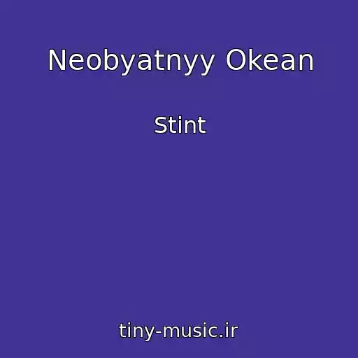 کاور آهنگ Neobyatnyy Okean از Stint