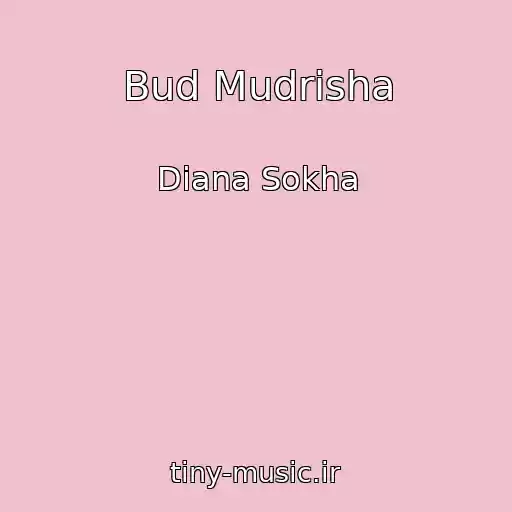 کاور آهنگ Bud Mudrіsha از Dіana Sokha