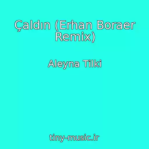 کاور آهنگ Çaldın (Erhan Boraer Remix) از Aleyna Tilki