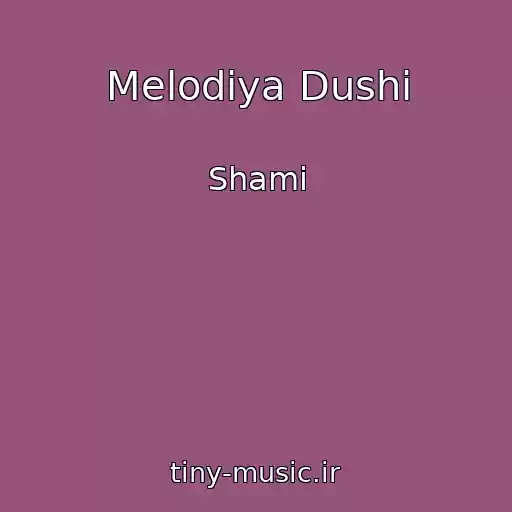 کاور آهنگ Melodiya Dushi از Shami