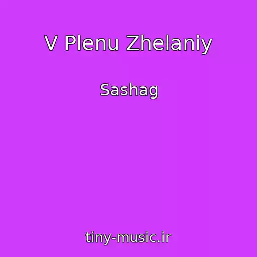 کاور آهنگ V Plenu Zhelaniy از Sashag