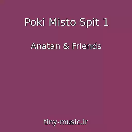 کاور آهنگ Poki Mіsto Spit 1 از Anatan & Friends
