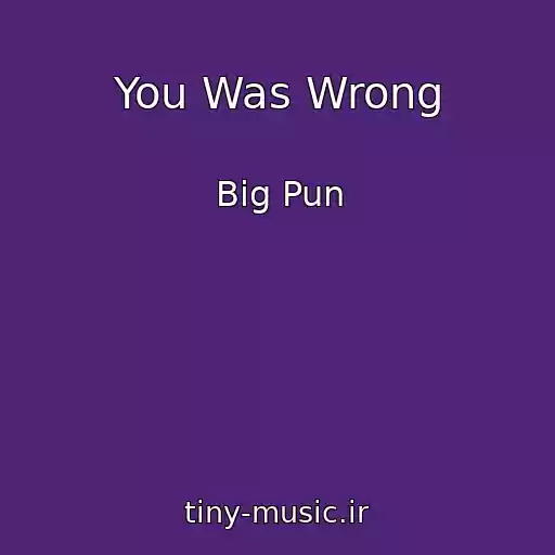 کاور آهنگ You Was Wrong از Big Pun