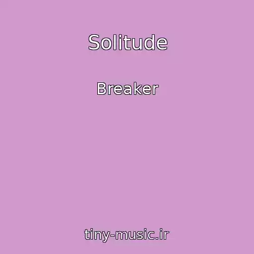 کاور آهنگ Solitude از Breaker