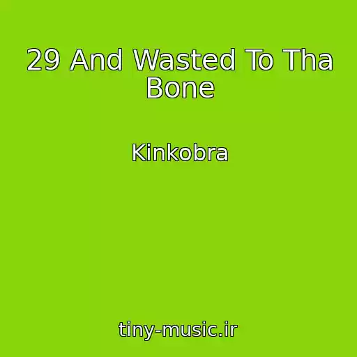 کاور آهنگ 29 And Wasted To Tha Bone از Kinkobra