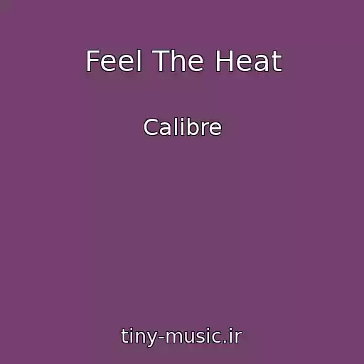 کاور آهنگ Feel The Heat از Calibre