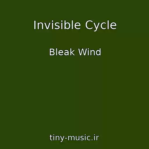 کاور آهنگ Invisible Cycle از Bleak Wind