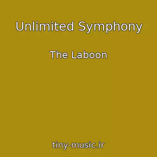 کاور آهنگ Unlimited Symphony از The Laboon