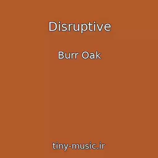 کاور آهنگ Disruptive از Burr Oak